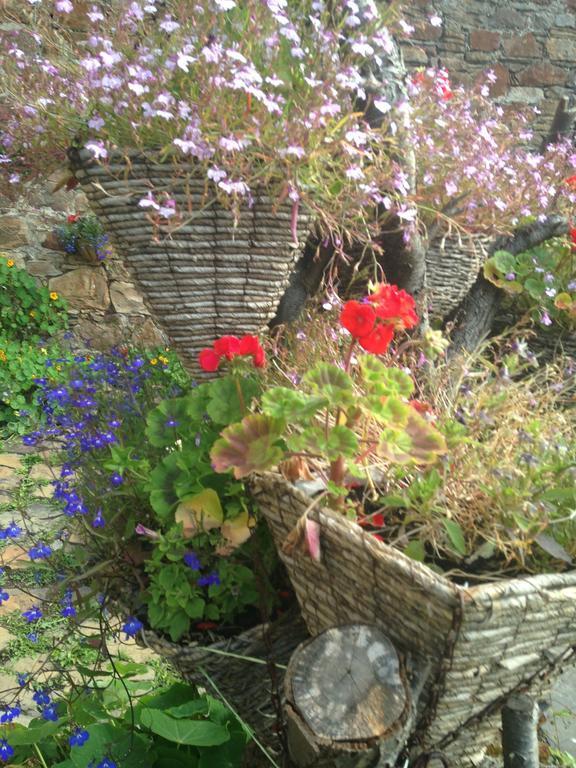 Cellardyke Belstane House B&B 외부 사진