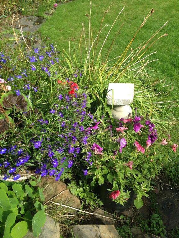Cellardyke Belstane House B&B 외부 사진