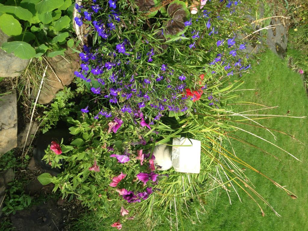 Cellardyke Belstane House B&B 외부 사진